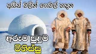 අයිස් වලින් ගෙවල් හදන අරුම පුදුම මිනිසුන්  eskimo people sinhala [upl. by Himelman599]