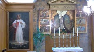 St Petronille LiveStream  Rosary amp Mass Wednesday June 12 2024 730 AM [upl. by Pinelli]