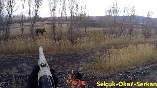 Heyecan verici yaban domuzu avıOkayŞAHİNSelçuk POSLUSerkanONATIR Wild Boar [upl. by Rehttam]