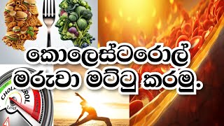 කොලෙස්ටරොල් පරදා ජය ගනිමු MeddicZ [upl. by Iadrahs]