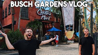 NONTHRILL SEEKERS VISIT FLORIDAS MOST THRILLING THEME PARK  Busch Gardens Tampa Bay Vlog [upl. by Calendra832]