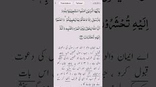 Eh Imaan Walon Allah aur Rasul ki Dawat Kabool karo  Dawat e Haq AllahKiDawat [upl. by Adnema542]