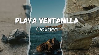 Playa Ventanilla Oaxaca [upl. by Aicilla]