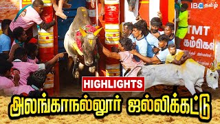 அலங்காநல்லூர் ஜல்லிக்கட்டை மிரள வைத்த காளைகள்  Alanganallur Jallikattu 2023 Highlights [upl. by Larisa]