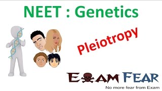 NEET Biology Genetics  Pleiotropy Sickle Cell Disease [upl. by Jessa]