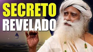 Transforma tu Ansiedad en Paz Interior Sadhguru Revela el Secreto para una Vida Sin Estrés [upl. by Drawd]