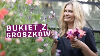 Groszek pachnący  zbieramy kwiaty z ogrodu na bukiety [upl. by Farrah]