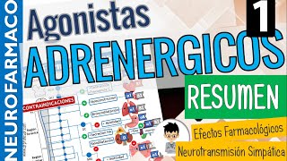 SIMPATICOMIMÉTICOS RESUMEN CLASIFICACIÓN Sinapsis Adrenérgica Receptores adrenérgicos PARTE 1 [upl. by Atirabrab]