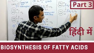 Fatty acid synthesis in Hindi  Part 3 [upl. by Kermy]