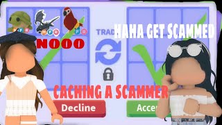 Catching a scammer [upl. by Nunciata]