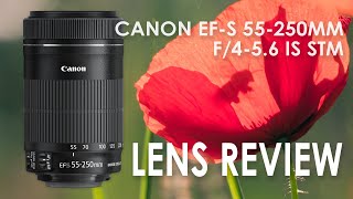 Canon EFS 55250mm IS STM Review [upl. by Beaufort]