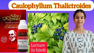 Caulophyllum Thalictroides homeopathic medicine Allens keynotes materia medica in hindi easy [upl. by Ailuig]