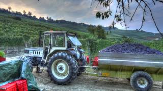 Langhe Roero  Piedmont Italy [upl. by Assirolc791]