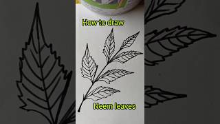 Beautiful Neem Leaf Drawing Easy Draw the foliage easily  drawing shorts [upl. by Acinnad]