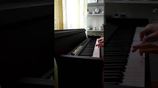 Stacja Warszawa  Lady Pank piano cover [upl. by Cornell]