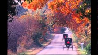 An Ideal Place for Livestock and Live People  The History of Oscoda County Michigan [upl. by Einama408]