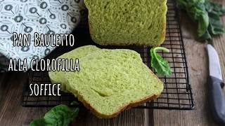 Pan bauletto alla clorofilla di spinaci come non lo avete mai visto [upl. by Kelton328]