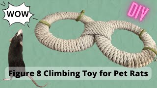 Figure 8 Climbing Toy for Pet Rats DIY [upl. by Leahpar960]