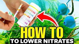 Heres How To Lower Nitrates In An Aquarium FAST👨‍🔬 [upl. by Eittak]