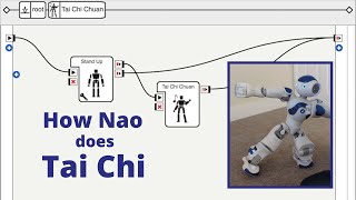 How the Nao Robot does Tai Chi [upl. by Shea]