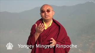 Mingyur Rinpoche Meditation to cure Stress Anxiety and Depression [upl. by Arved]