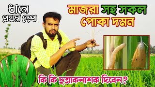 মাজরা ও ছত্রাক দমনে ধানের প্রথম স্প্রে।। কখন কি কি ব্যবহার করবেন। সেরা সমাধান।। [upl. by Ainival]