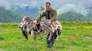 Cooking The Best Unimaginable Recipes In The Mountain Village Of Azerbaijan [upl. by Oigroeg]