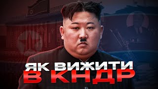 Ні корови ні свині тіки Кім на стіні [upl. by Dnalram]