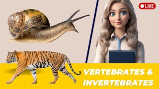 Exploring the Animal Kingdom Vertebrates and Invertebrates Adventure [upl. by Donahue715]