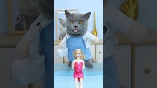 Help🥺 Can Dr Oscar Magically Heal The Broken Doll🩹🎀 catvideo catmemes trending [upl. by Leckie645]