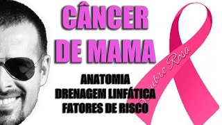 Câncer de mama Anatomia drenagem linfática e fatores de risco  Outubro Rosa  VídeoAula 087 [upl. by Margette]