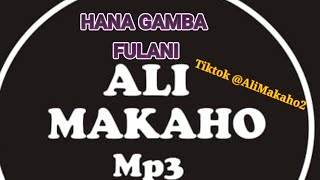 ALI MAKAHO Part 25 HANA GAMBA FULANI Official Audio Full alimakaho21592 [upl. by Ian]