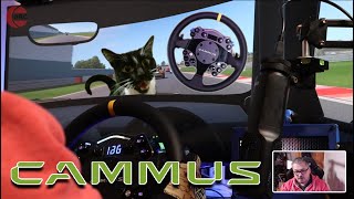 CAMMUS C12  DRIVE AND TALK  Impressions after 2 weeks [upl. by Nibaj]