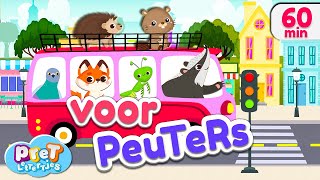 Voertuigen Dierengeluiden Boerderijdieren amp meer Pretlettertjes Kinderfilmpjes [upl. by Aranat483]