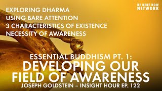 Essential Buddhism Part 1  Developing Our Field of Awareness w Joseph Goldstein  Insight Hour 122 [upl. by Fielding157]