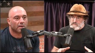 Joe Rogan Is Stunned By Paul Stamets Stories About the Multiverse [upl. by Aivax]