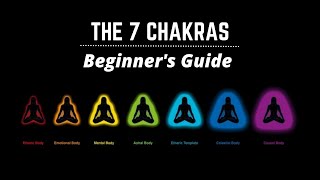 7 Chakras explained Beginners guide 101 [upl. by Mosera]