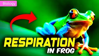 RESPIRATORY SYSTEM OF FROG  11thNEET  3D ANIMATION  PWNEETWallah [upl. by Caldwell]