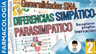 DIFERENCIAS entre sistema SIMPÁTICO Y PARASIMPÁTICO Aplicación clínicaNEUROFARMACOLOGÍA INTRO P2 [upl. by Nauh]