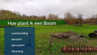 Hoe plant ik een boom [upl. by Latsryc]