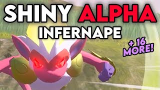 SHINY ALPHA INFERNAPE  16 MORE in Pokemon Legends Arceus [upl. by Tnomad]