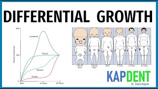 DIFFERENTIAL GROWTH  Cephalo caudal Gradient amp Scammons Growth Curve  Orthodontics KAPDENT [upl. by Mcnelly]