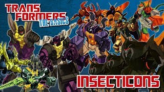 TRANSFORMERS THE BASICS on the INSECTICONS [upl. by Idalia607]