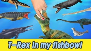 EN 54 Lets raise Trex in my fishbowl kids education Dinosaurs animationㅣCoCosToy [upl. by Terra]