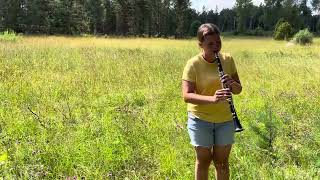 Sommarfeeling☀️ Visa vid vindens ängar 🌸🌾 klarinett cover Amanda [upl. by Vasta]