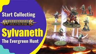 Start Collecting Warhammer Age of Sigmar Sylvaneth  The Evergreen Hunt [upl. by Graubert]