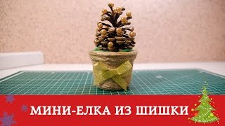 Елочка из шишки  Подготовка к Новому Году и Рождеству [upl. by Etnomal]