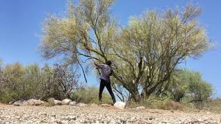 Palo Verde Tree Trimming Tucson [upl. by Ennis]