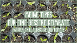 🍅🍆Schnelle Keimung und top Keimrate 🌱 Aussaat Tipps für Paprika Chili Auberginen Tomaten 👍 [upl. by Nena953]