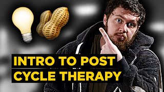 The BASICS of Post Cycle Therapy and OnCycle Support for BEGINNERS How to KEEP the Lights ON 💡🥜 [upl. by Akirahc]